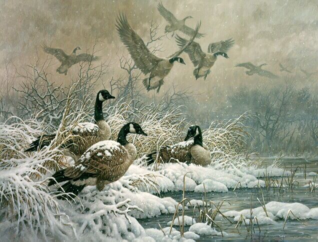 You Do Not Have to Be Good: On Mary Oliver’s Wild Geese